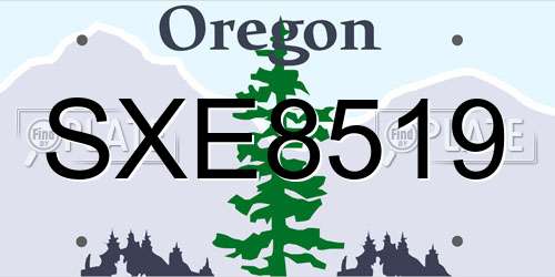 SXE8519 Oregon License Plate