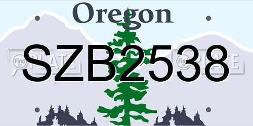 SZB2538 Oregon License Plate