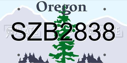 SZB2838 Oregon License Plate