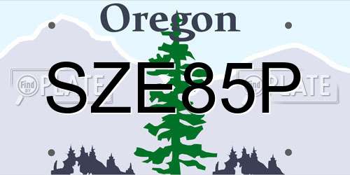 SZE85P Oregon License Plate