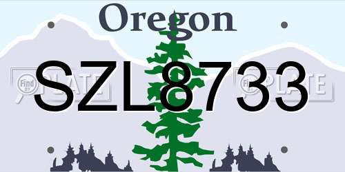 SZL8733 Oregon License Plate