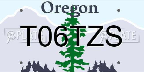T06TZS Oregon License Plate