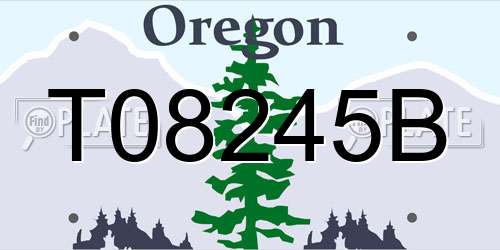 T08245B Oregon License Plate