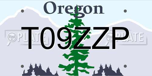 T09ZZP Oregon License Plate