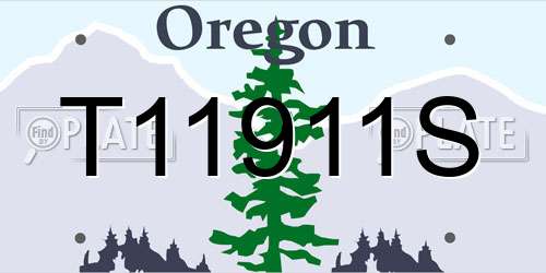 T11911S Oregon License Plate