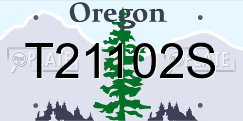 T21102S Oregon License Plate