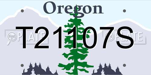 T21107S Oregon License Plate