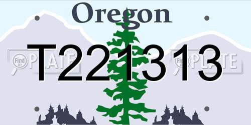 T221313 Oregon License Plate