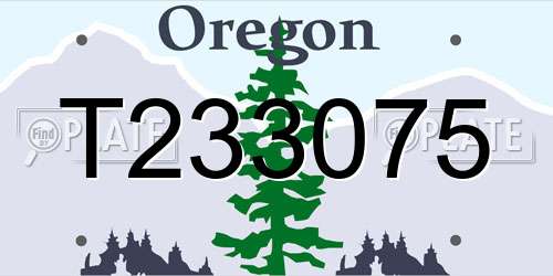 T233075 Oregon License Plate