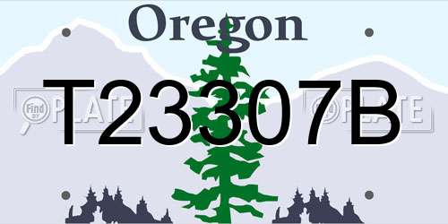 T23307B Oregon License Plate