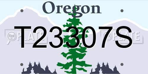T23307S Oregon License Plate