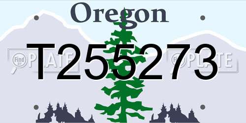 T255273 Oregon License Plate