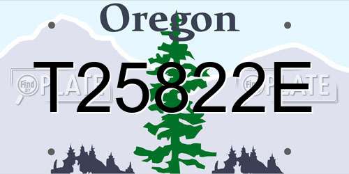 T25822E Oregon License Plate