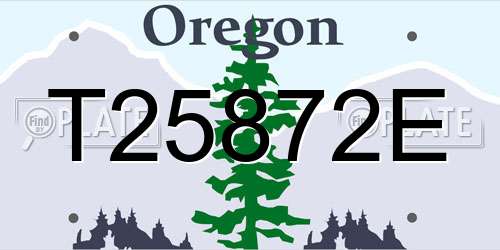 T25872E Oregon License Plate
