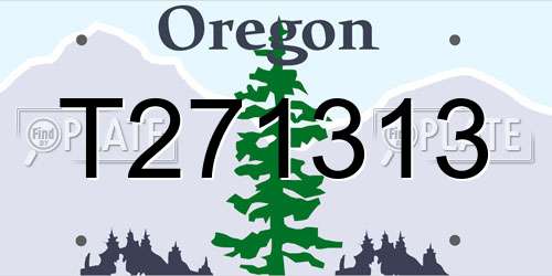 T271313 Oregon License Plate