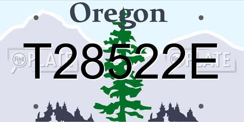T28522E Oregon License Plate