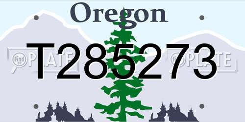 T285273 Oregon License Plate