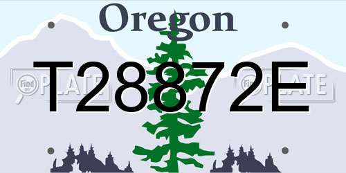 T28872E Oregon License Plate