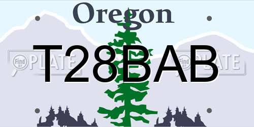 T28BAB Oregon License Plate