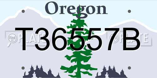 T36557B Oregon License Plate