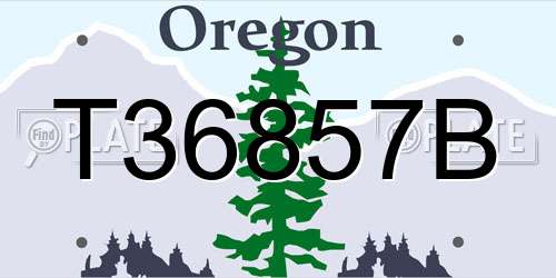 T36857B Oregon License Plate
