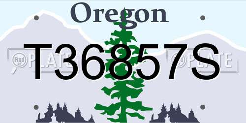 T36857S Oregon License Plate