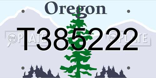 T385222 Oregon License Plate