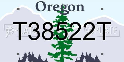 T38522T Oregon License Plate