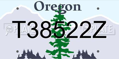T38522Z Oregon License Plate