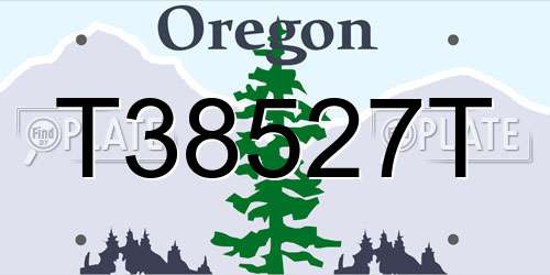 T38527T Oregon License Plate