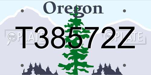 T38572Z Oregon License Plate