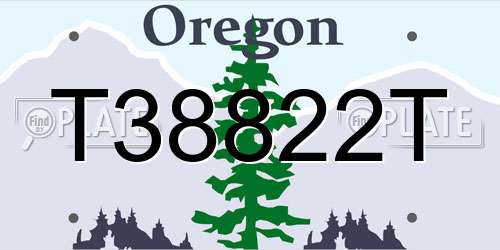 T38822T Oregon License Plate