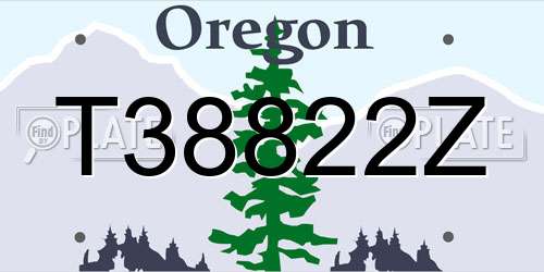 T38822Z Oregon License Plate