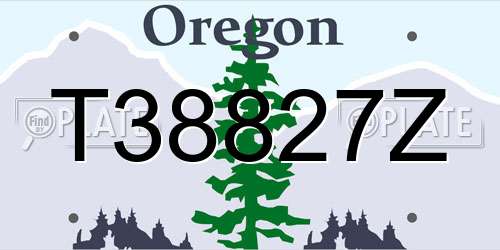 T38827Z Oregon License Plate