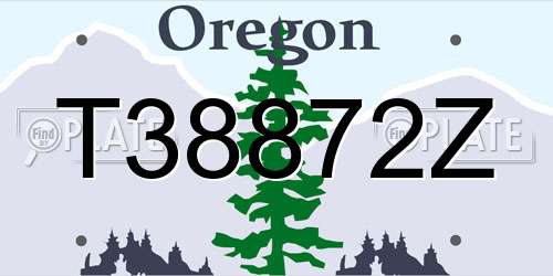 T38872Z Oregon License Plate