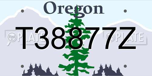 T38877Z Oregon License Plate