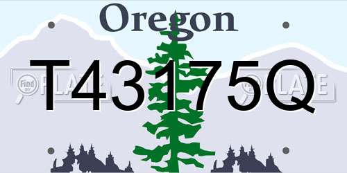 T43175Q Oregon License Plate