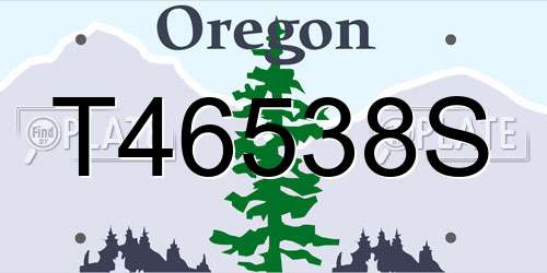 T46538S Oregon License Plate