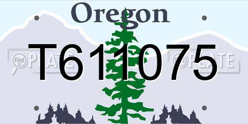 T611075 Oregon License Plate