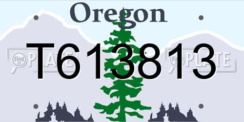 T613813 Oregon License Plate