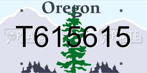 T615615 Oregon License Plate