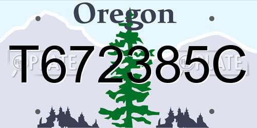T672385C Oregon License Plate