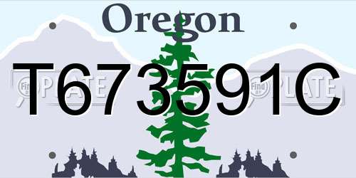 T673591C Oregon License Plate