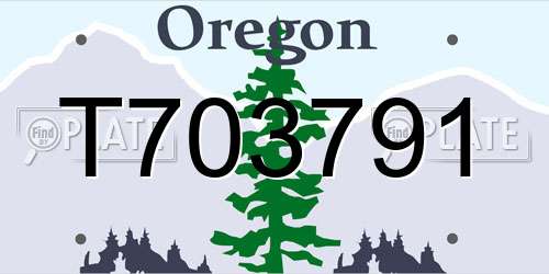 T703791 Oregon License Plate
