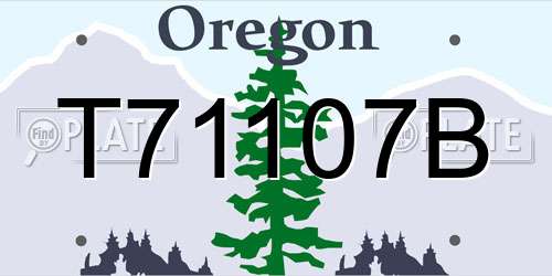 T71107B Oregon License Plate