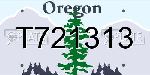 T721313 Oregon License Plate