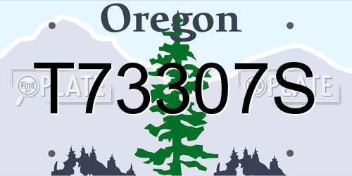 T73307S Oregon License Plate