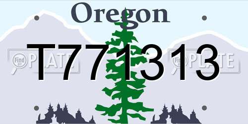 T771313 Oregon License Plate