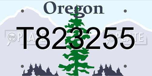 T823255 Oregon License Plate