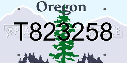 T823258 Oregon License Plate